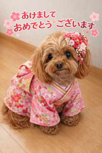 2026年 新年のご挨拶🎍