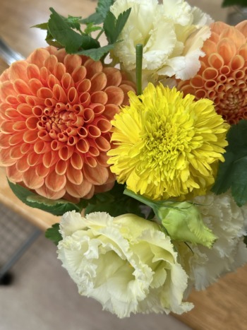 まん丸で可愛いダリアの花束🌼